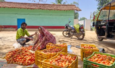 साय सरकार की पहल से सशक्त हुई महिलाएं : हमेश्वरी राठौर बनीं “लखपति दीदी”
