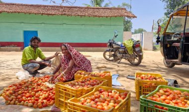 साय सरकार की पहल से सशक्त हुई महिलाएं, हमेश्वरी राठौर बनी लखपति दीदी