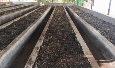 वर्मी कंपोस्ट उत्पादन बनी आत्मनिर्भरता की मिसाल