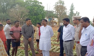 वन मंत्री कश्यप ने दहिकोंगा तेंदूपत्ता फड़ का किया निरीक्षण, संग्राहकों से किया सीधा संवाद