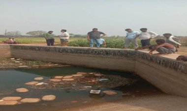 नहर में बह रहा था गांजा एक के बाद एक इतने पैकेट किए पुलिस ने बरामद कीमत जानकर उड़ जाएंगे होश