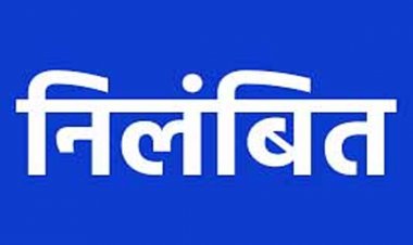 अनियमितताओं पर सख्ती: चार कृषि आदान दुकानों के लाइसेंस 21 दिन के लिए निलंबित
