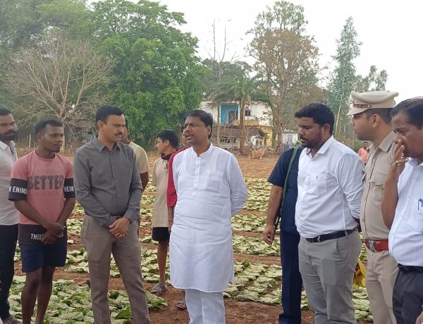वन मंत्री ने तेंदूपत्ता फड़ दहिकोंगा का किया औचक निरीक्षण तेंदूपत्ता संग्राहकों से किया संवाद