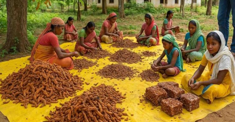 अब वैश्विक बाजार में महकेगी बस्तर की इमली, ‘दंडकारण्य फूड्स’ यूनिट से बदलेगी हजारों परिवारों की तकदीर