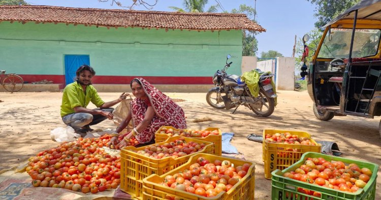 साय सरकार की पहल से सशक्त हुई महिलाएं, हमेश्वरी राठौर बनी लखपति दीदी