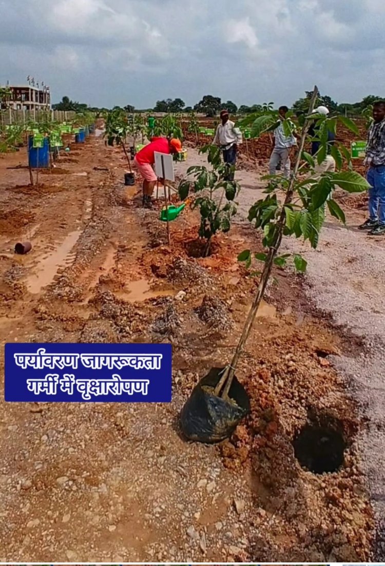 नागरिकों को पर्यावरण संरक्षण के प्रति जागरूक करने गर्मी में वृक्षारोपण