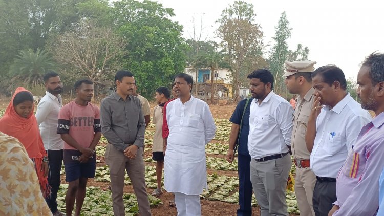 वन मंत्री ने तेंदूपत्ता फड़ दहिकोंगा का किया औचक निरीक्षण तेंदूपत्ता संग्राहकों से किया संवाद