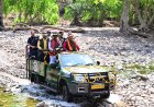 भोरमदेव जंगल सफारी: घने जंगलों के बीच रोमांच का नया सफर