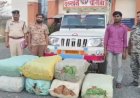 BREAKING : नशे के कारोबार के खिलाफ बड़ी कार्रवाई, 1 करोड़ 14 लाख का गांजा जब्त, दो तस्कर गिरफ्तार