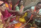 ’पाली शिव मंदिर में श्रद्धा और धरोहर का समागम, सोमनाथ स्वाभिमान पर्व का भव्य आयोजन’