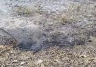 जगदलपुर में ‘आग उगलती जमीन’ से दहशत, धधकते केमिकल वेस्ट से बच्चे झुलसे