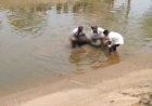 नहर में मिली युवक की लाश, फैली सनसनी, कल से था लापता, हादसा या साजिश?