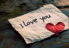 CG – पत्नी को I LOVE YOU बोलने पर साले ने जीजा को दी ये खौफनाक सजा, इलाके में फैली सनसनी