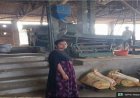 संघर्ष से आत्मनिर्भरता तक उषा बनीं ग्रामीण महिलाओं के लिए प्रेरणा, सुदूर आदिवासी गांव में दे रही हैं रोजगार और सुविधाएं