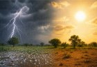 Weather Update : भीषण गर्मी से राहत! छत्तीसगढ़ में आंधी-बारिश का असर, तापमान में आई गिरावट