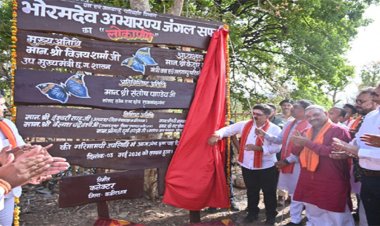 उप मुख्यमंत्री शर्मा, वन मंत्री कश्यप और सांसद पाण्डेय ने किया भोरमदेव जंगल सफारी का शुभारंभ