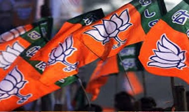 प्रधानमंत्री मोदी के विकासवाद और सुशासन की जीत - भाजपा