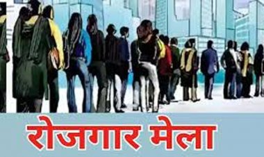 लायवलीहुड कॉलेज जोरा में 12 मई को रोजगार मेला, 400 से अधिक पदों पर भर्ती