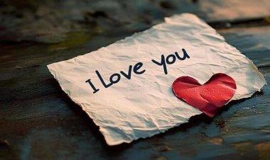CG – पत्नी को I LOVE YOU बोलने पर साले ने जीजा को दी ये खौफनाक सजा, इलाके में फैली सनसनी