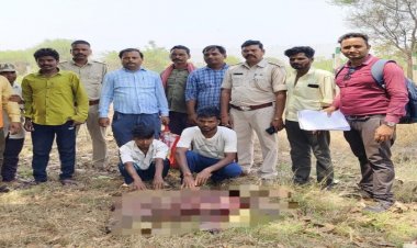 जंगली सुवर का शिकार करते 2 आरोपी गिरफ्तार, 4 अन्य आरोपियों की तलाश जारी