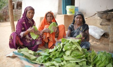 तेज धूप और थकान में भी हरा सोना से मिलती है राहत