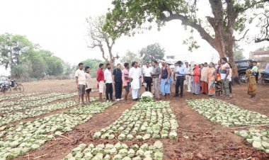 ’तेन्दूपत्ता संग्रहण में छत्तीसगढ़ ने बनाया नया रिकॉर्ड, अब तक 13.52 लाख मानक बोरा संग्रहित’