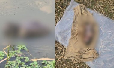 CG  : इंसानियत तार-तार, कलयुगी मां ने 2 दिन की नवजात बच्ची को तालाब में जिंदा फेंका, दम घुटने से मौत