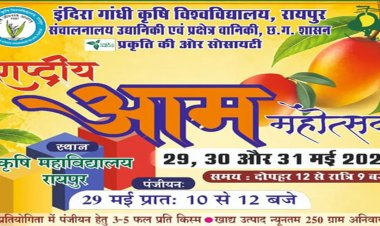 कृषि विवि में तीन दिवसीय राष्ट्रीय आम महोत्सव कल से, 250 से अधिक किस्मों का किया जाएगा प्रदर्शन