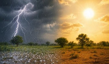Weather Update : भीषण गर्मी से राहत! छत्तीसगढ़ में आंधी-बारिश का असर, तापमान में आई गिरावट