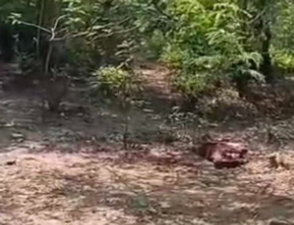 CG-खून से लथपथ मिली युवक की लाश, हत्या या फिर….इलाके में सनसनी