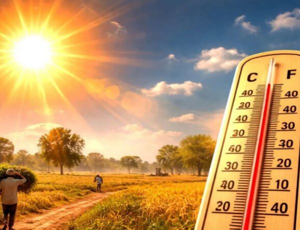 CG WEATHER : उमस और तेज धूप से बढ़ी परेशानी, छत्तीसगढ़ में अगले 72 घंटे रहेंगे बेहद गर्म