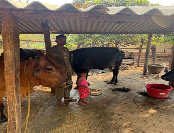 पशुपालन से बदली प्यारेलाल की जिंदगी, डेयरी व्यवसाय बना आय का मजबूत साधन