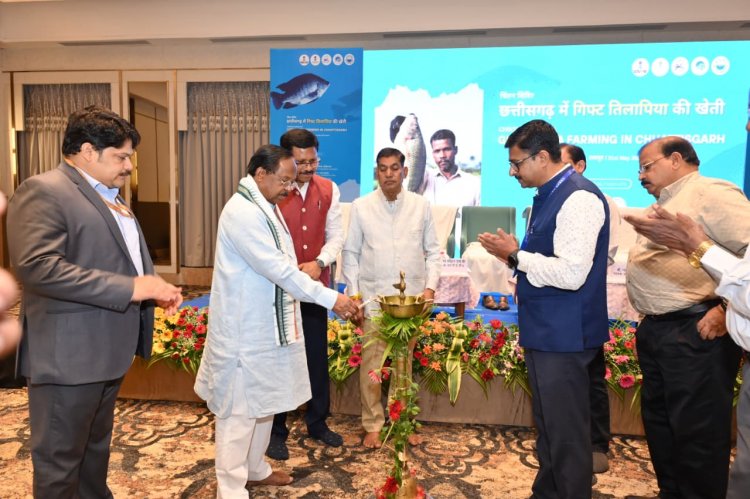 छत्तीसगढ़ में नीली क्रांति की ओर अग्रसर: गिफ्ट तिलापिया और आधुनिक तकनीकों से बदल रही मछुआरों की तकदीर’: मंत्री श्री नेताम