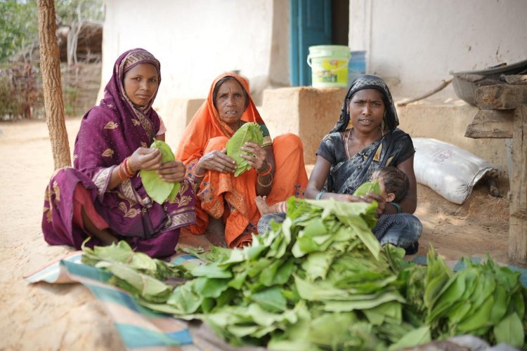 तेज धूप और थकान में भी हरा सोना से मिलती है राहत