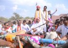 भारतीय राजनीति में पहली बार "डिप्टी सीएम अरुण साव बने विधायक दूल्हे की बैलगाड़ी के सारथी"