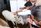 जन्मदिवस के अवसर पर वित्त मंत्री  ओपी चौधरी ने की गौ-सेवा, संरक्षण के प्रयासों को सराहा