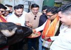 जन्मदिवस के अवसर पर वित्त मंत्री ओपी चौधरी ने की गौ-सेवा, संरक्षण के प्रयासों को सराहा