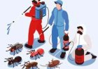 हर साल 6 जून को विश्व कीट दिवस (World Pest Day) मनाया जाता है। इसके साथ ही हर साल 6 जून से 20 जून तक विश्व कीट दिवस पखवाड़ा भी मनाया जाता है।