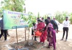 विश्व पर्यावरण दिवस पर विधायक सुश्री लता उसेण्डी ने किया वृक्षारोपण