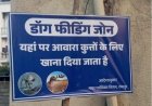 माननीय उच्च न्यायालय के आदेश के परिपालन में रायपुर नगर निगम अंतर्गत निर्धारित वार्डो में स्ट्रीट डॉग्स हेतु फीडिंग जोन के लिए स्थल चिन्हांकन कर लिया गया