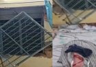 बाल संप्रेक्षण गृह की खिड़की तोड़ 11 अपचारी बालक फरार, पुलिस महकमे में मचा हड़कंप