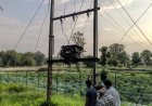 मुख्यमंत्री कैंप कार्यालय की त्वरित पहल से ग्राम बोड़ालाता में बहाल हुई बिजली व्यवस्था