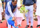 मातृशक्ति एवं प्रकृति के प्रति श्रद्धा का अनुपम संगम : मुख्यमंत्री  विष्णु देव साय ने "राम वाटिका" में किया रुद्राक्ष का पौधारोपण
