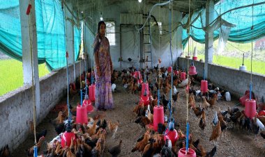 मजदूरी करने वाली रानी यादव बनीं गांव की सफल महिला व्यवसायी