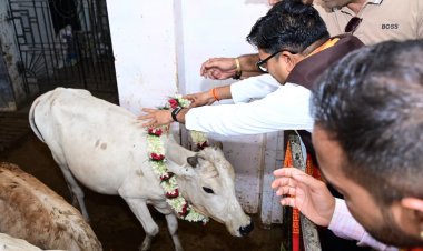 जन्मदिवस के अवसर पर वित्त मंत्री  ओपी चौधरी ने की गौ-सेवा, संरक्षण के प्रयासों को सराहा
