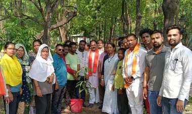 विश्व पर्यावरण दिवस पर भाजपा रायपुर के सभी 20 मंडलों में हुआ वृक्षारोपण |