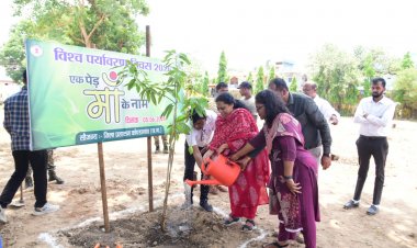 विश्व पर्यावरण दिवस पर विधायक सुश्री लता उसेण्डी ने किया वृक्षारोपण