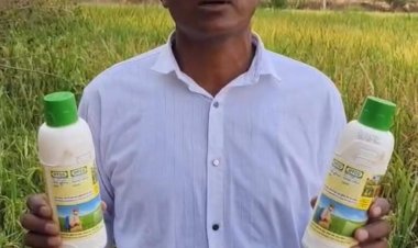 नैनो उर्वरक से अशोक शार्दुल को कम लागत में मिल रही अधिक उत्पादन