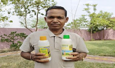 किसान हीरा सिंह ने रासायनिक खाद छोड़ अपनाया नैनो यूरिया और डीएपी,सुधरी मिट्टी की सेहत और बढ़ा उत्पादन