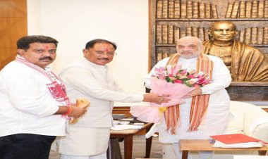 छत्तीसगढ़ में अखिल भारतीय आयुर्वेद संस्थान के स्थापना का प्रस्ताव, अमित शाह से मिले मुख्यमंत्री विष्णुदेव साय